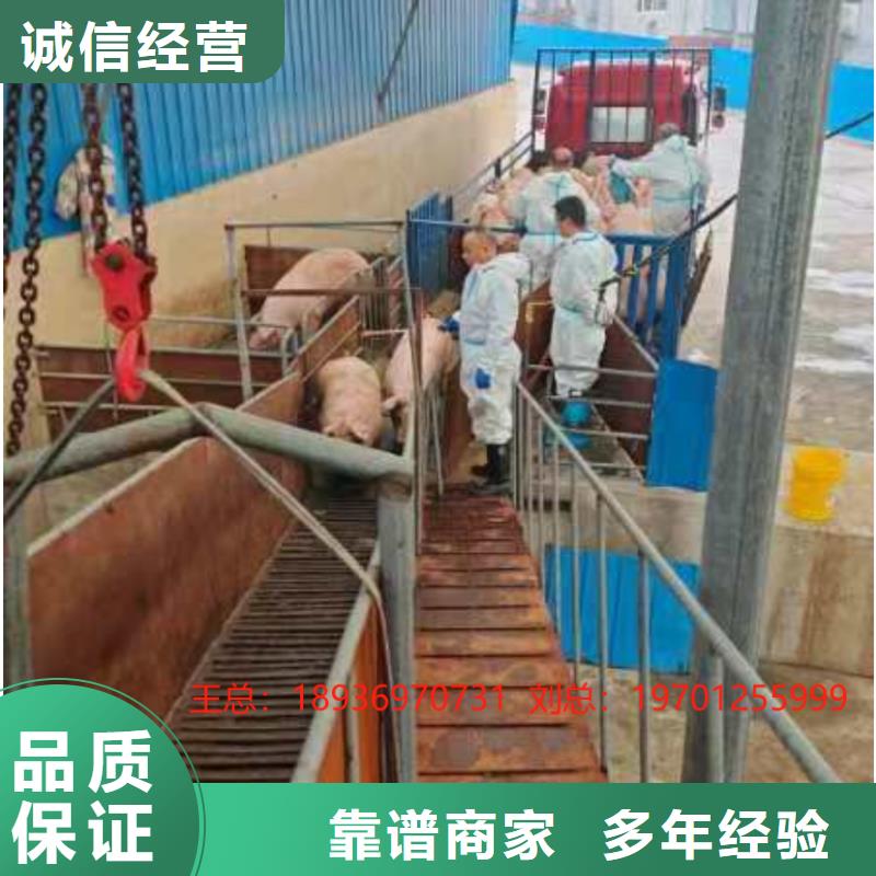 宿迁市到铜陵散装料-恒温车专业承接