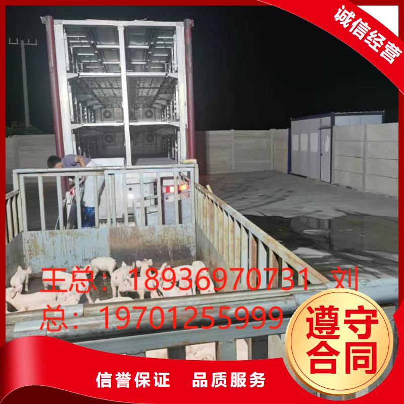 宿迁到菏泽种猪运输-专用车正规公司