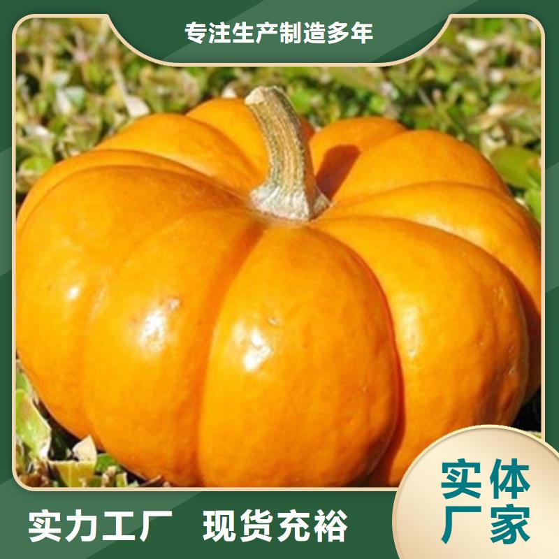 南瓜丁羽衣甘蓝粉源头厂源头货一站式供应厂家