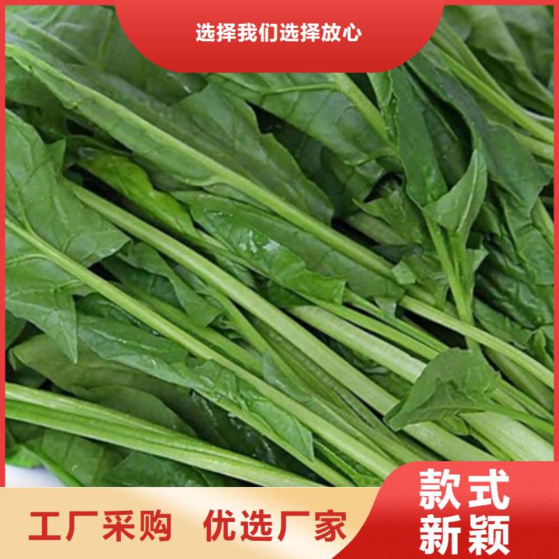 菠菜粉放心选择附近厂家