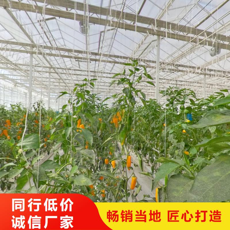 825型大棚骨架质保一年附近公司