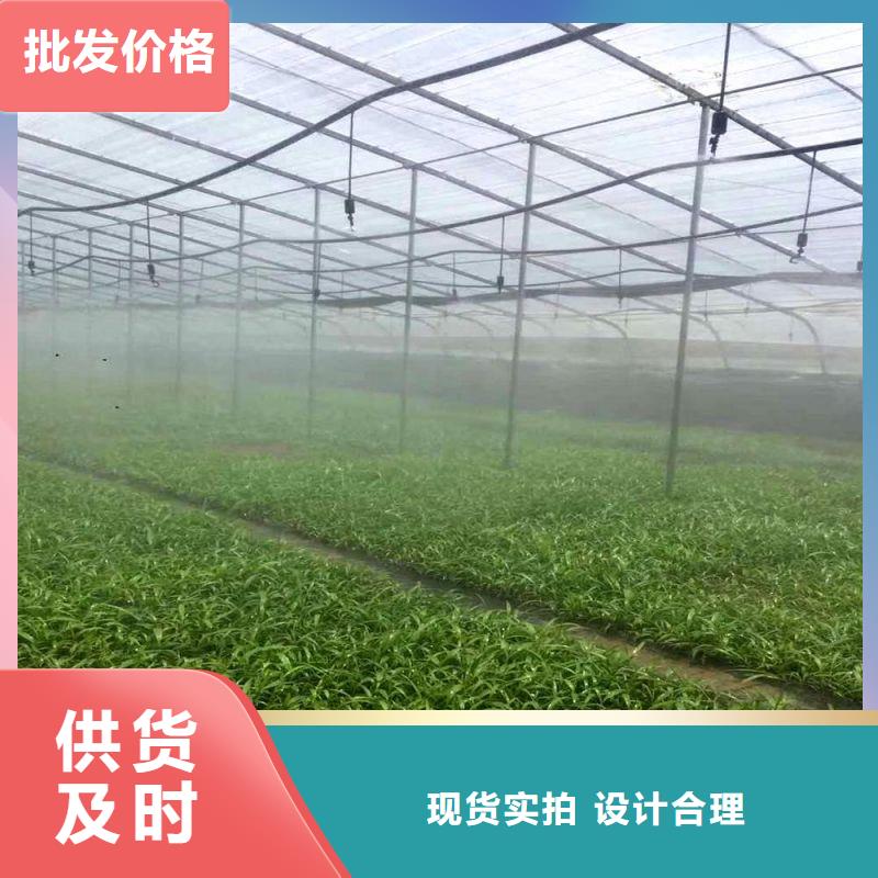 博兴种植单体大棚优惠报价质量不佳尽管来找我