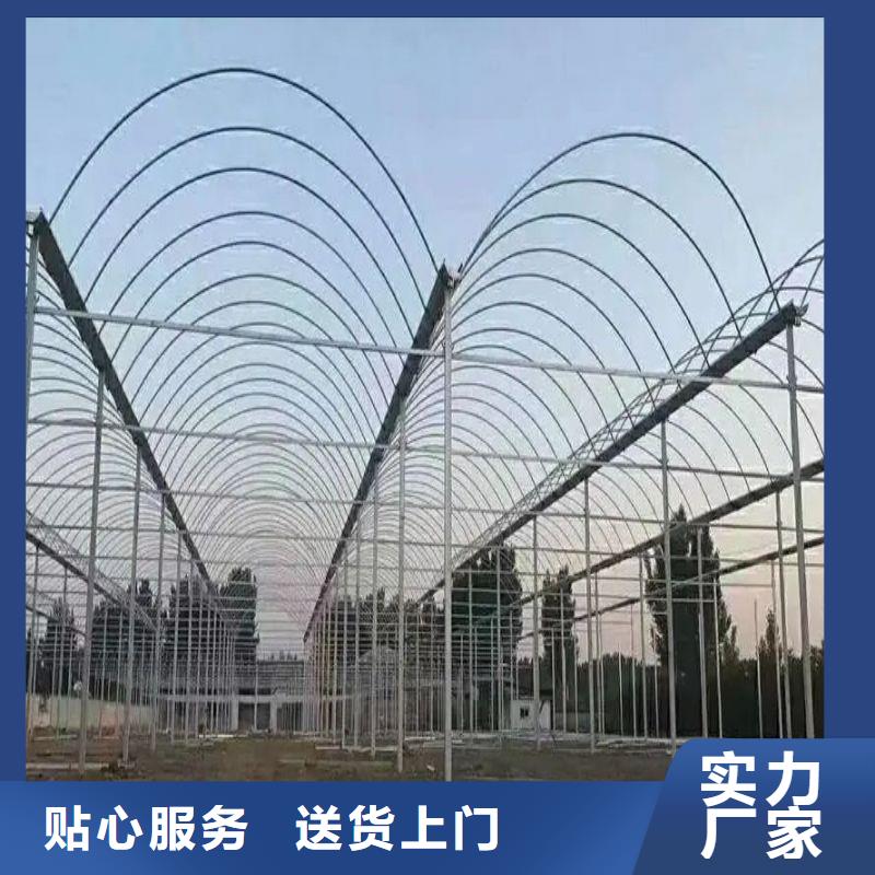 德兴市高端智能温室大棚联系电话本地生产商