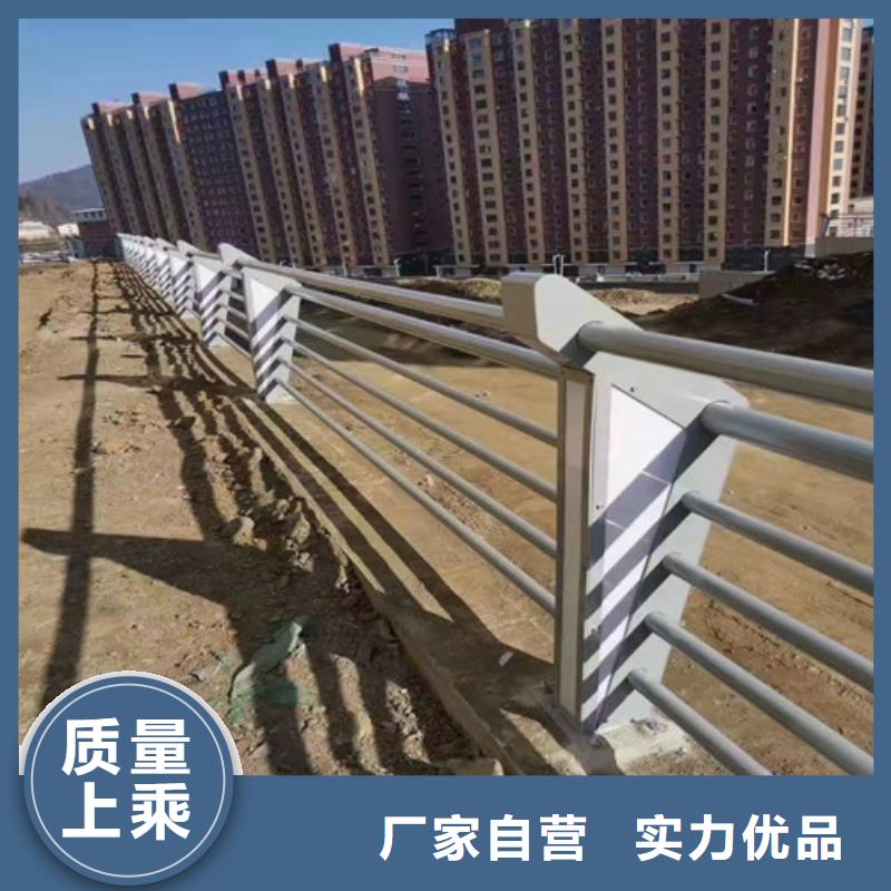 景观灯光护栏-景观灯光护栏经验丰富本地品牌