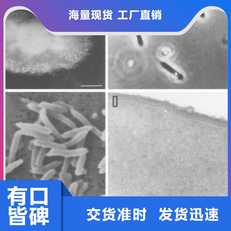 污水处理培养菌种专用碳源生产厂家本地品牌