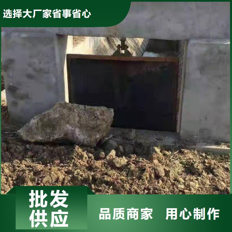 附壁式铸铁闸门价格低实力公司