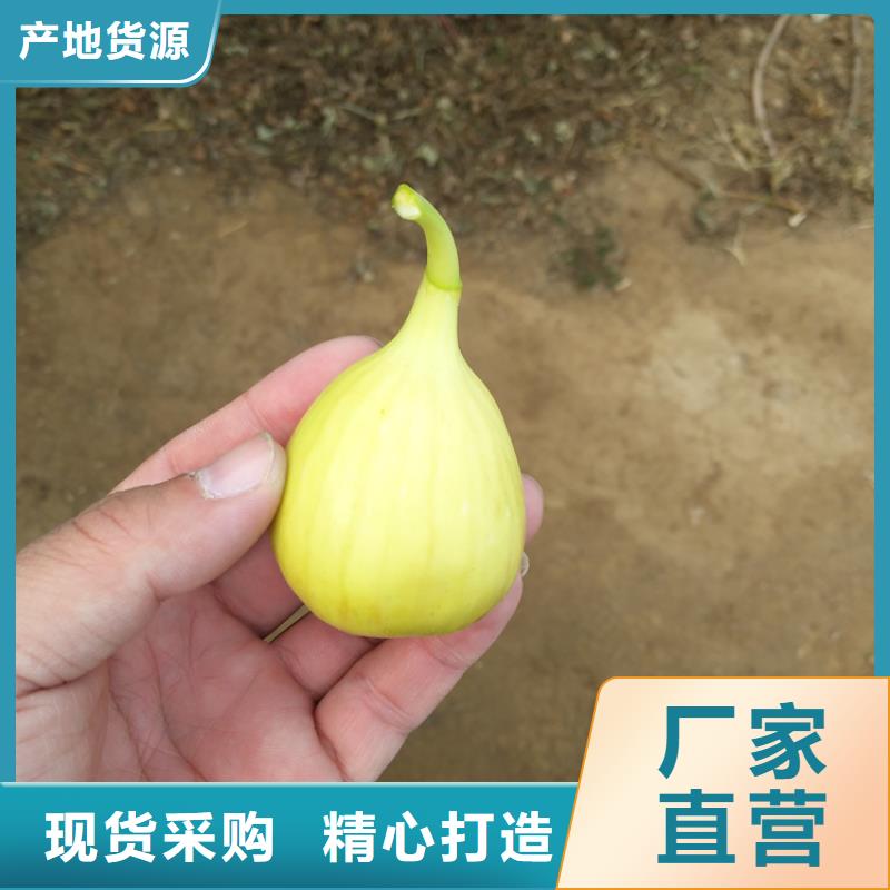 【无花果嘎啦苹果满足客户所需】追求细节品质