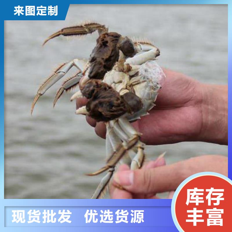 鲜活阳澄湖螃蟹一斤几只当地供应商