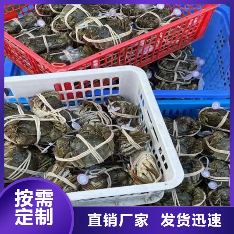 阳澄湖大闸蟹厂家供货把实惠留给您