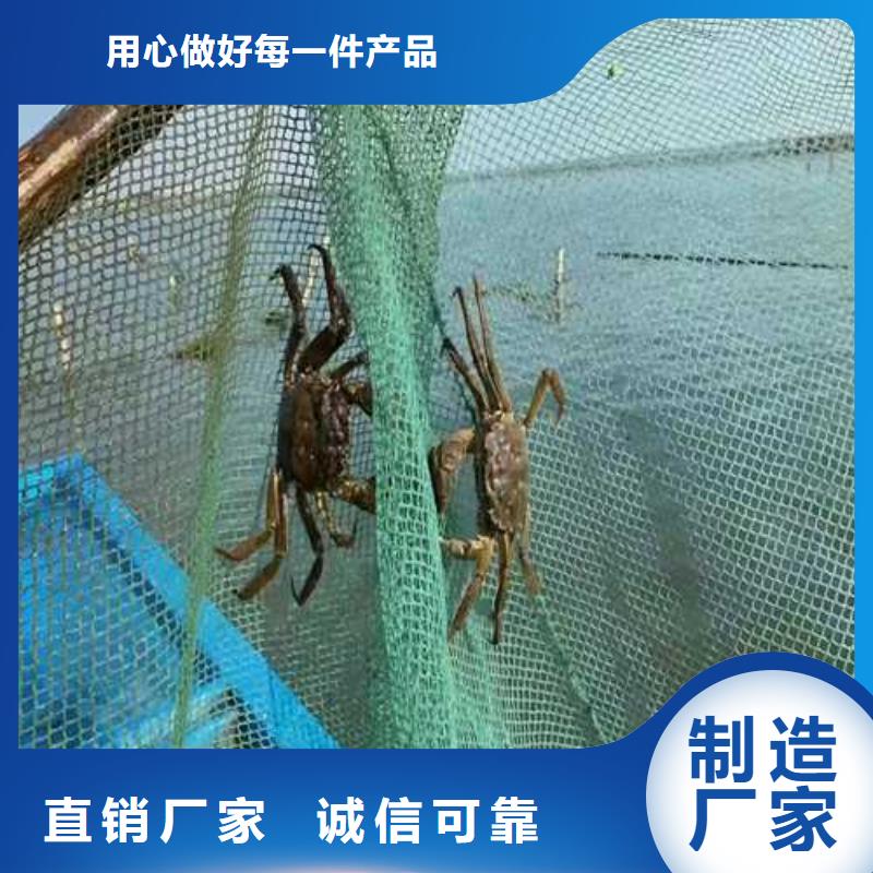 南方大螃蟹价格多少钱一只现货充裕