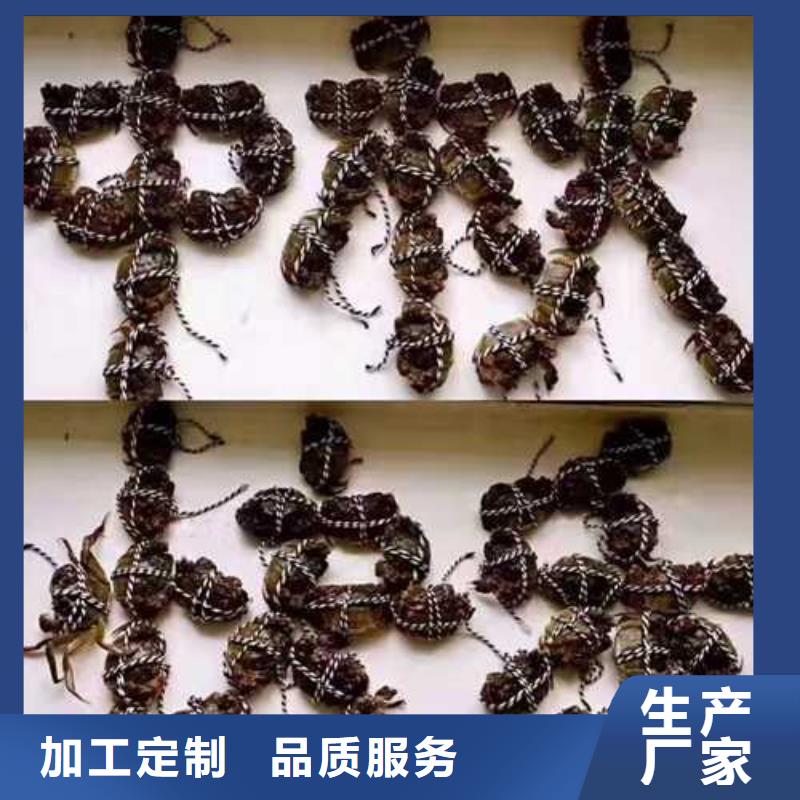 超大闸蟹、超大闸蟹生产厂家-认准阳澄湖镇莲花岛顾记大闸蟹经营部今日新品