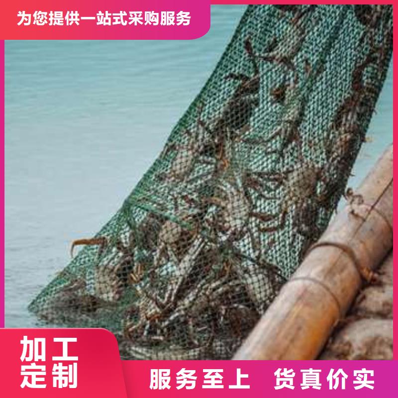 ​生产阳澄湖大闸蟹_优质厂家实力优品