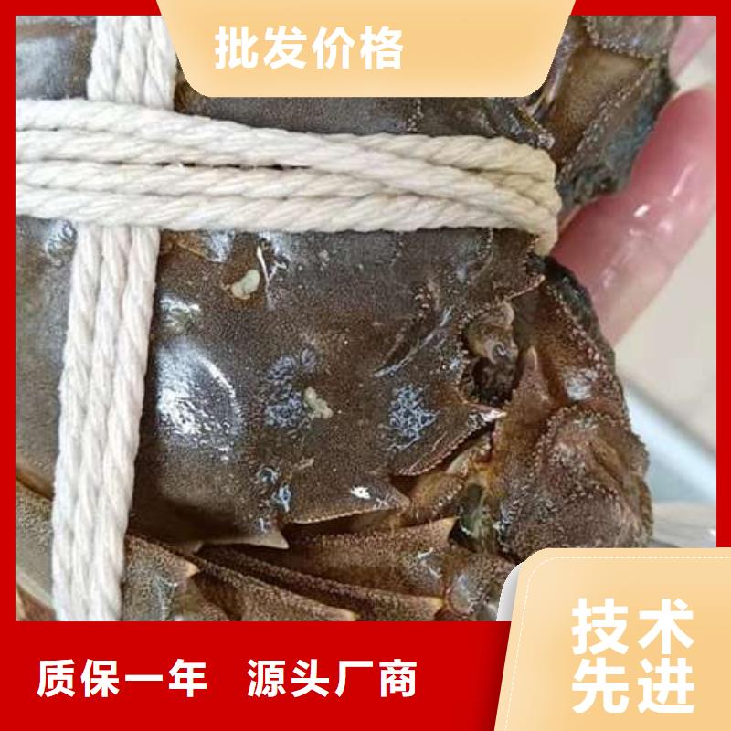 销售阳澄湖大闸蟹_优质厂家附近生产商