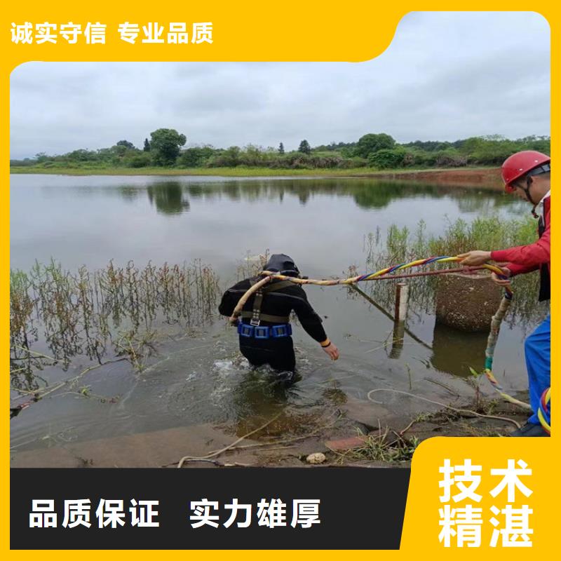 水下检测公司-满足客户各种要求当地经销商