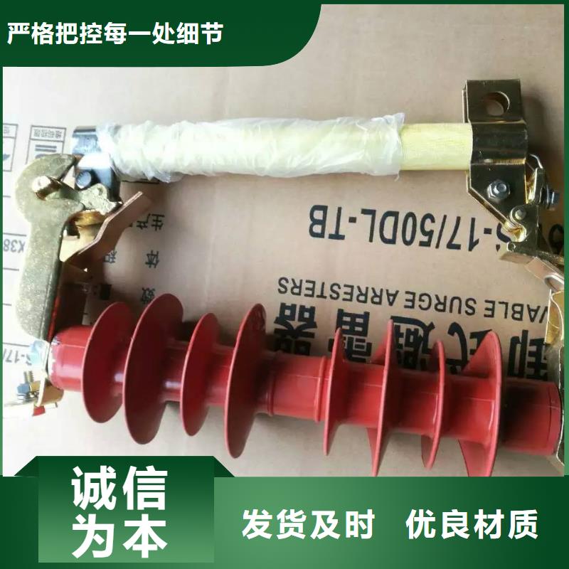 _避雷器Y1.5W-60/144W【羿振电气】您身边的厂家