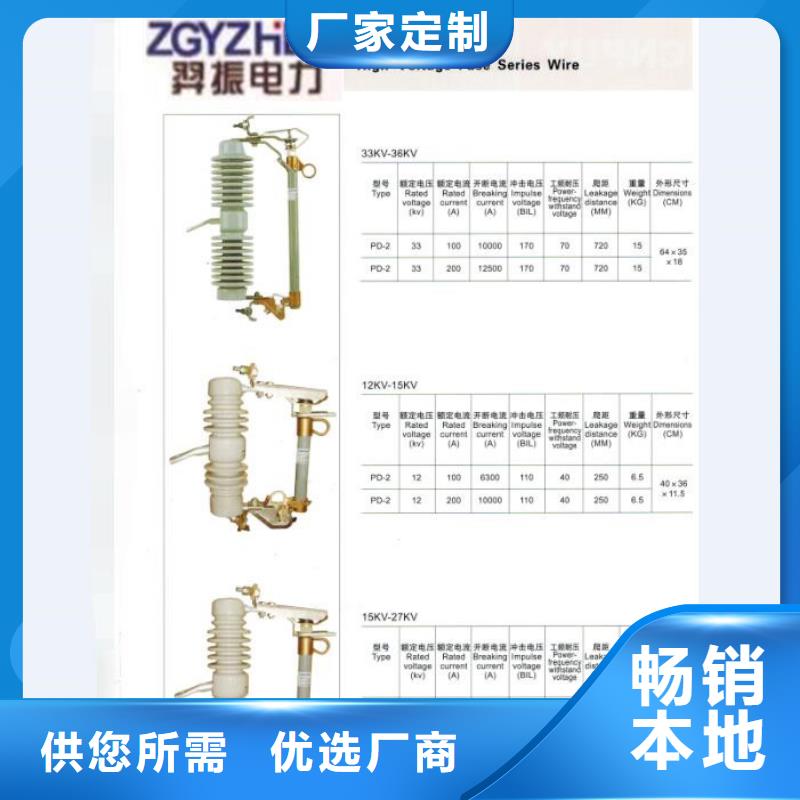 66KV跌落式熔断器RW3-63G/200A值得信赖