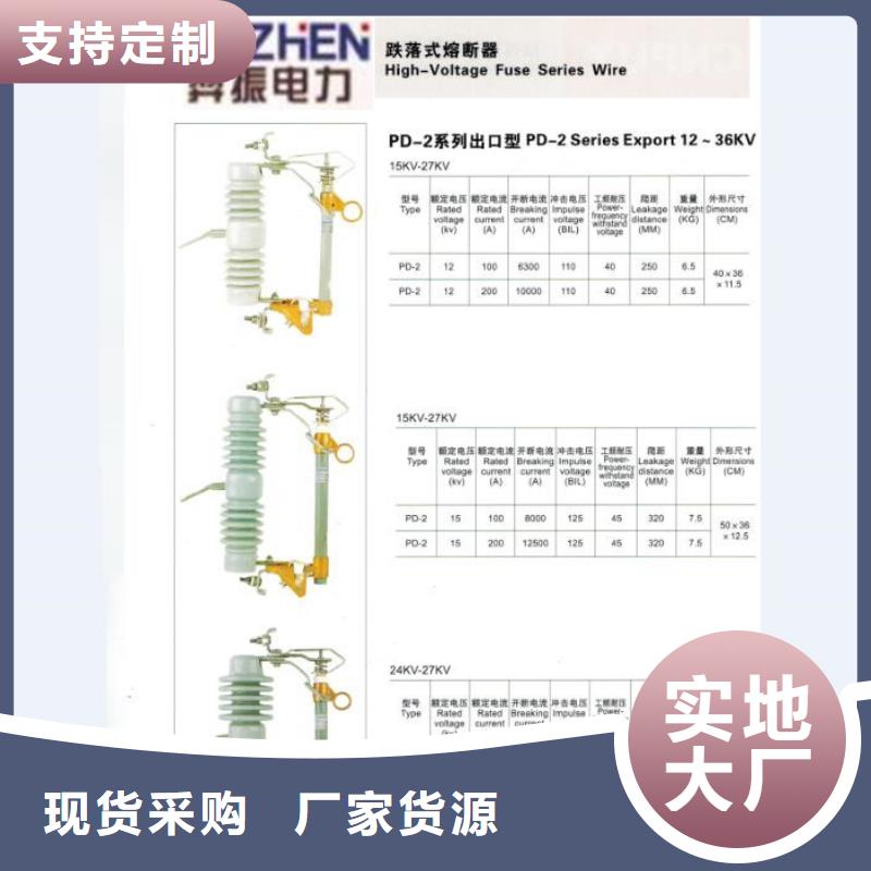 【跌落式熔断器】RW12-10/100A同城品牌