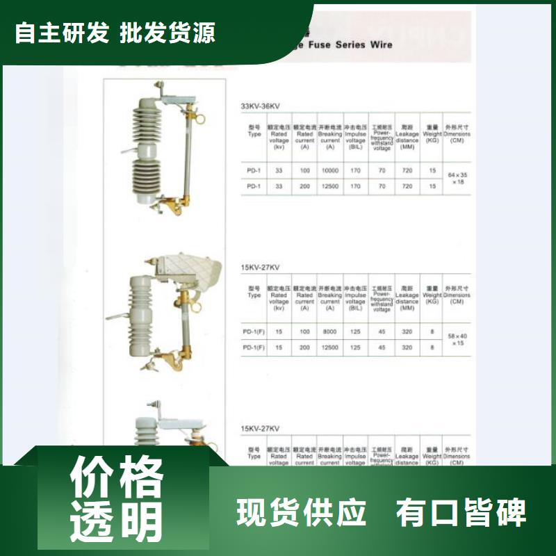 高压熔断器/RW5-66/200A诚信经营质量保证