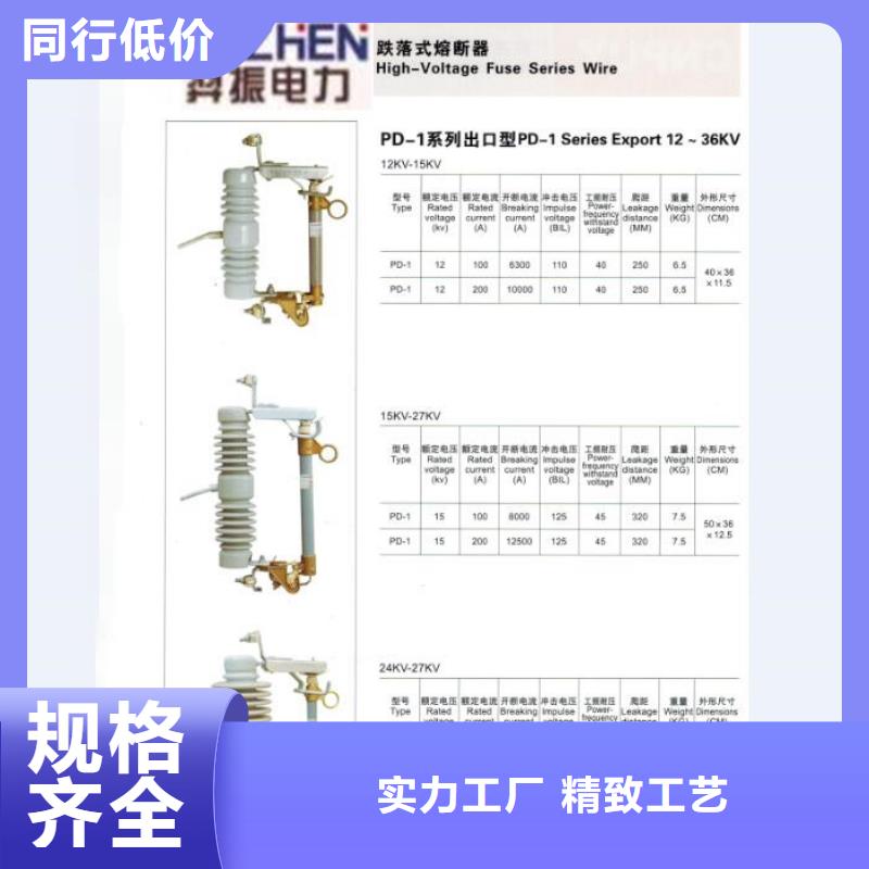 行业资讯：
高压熔断器/RW3-10/200A当地公司