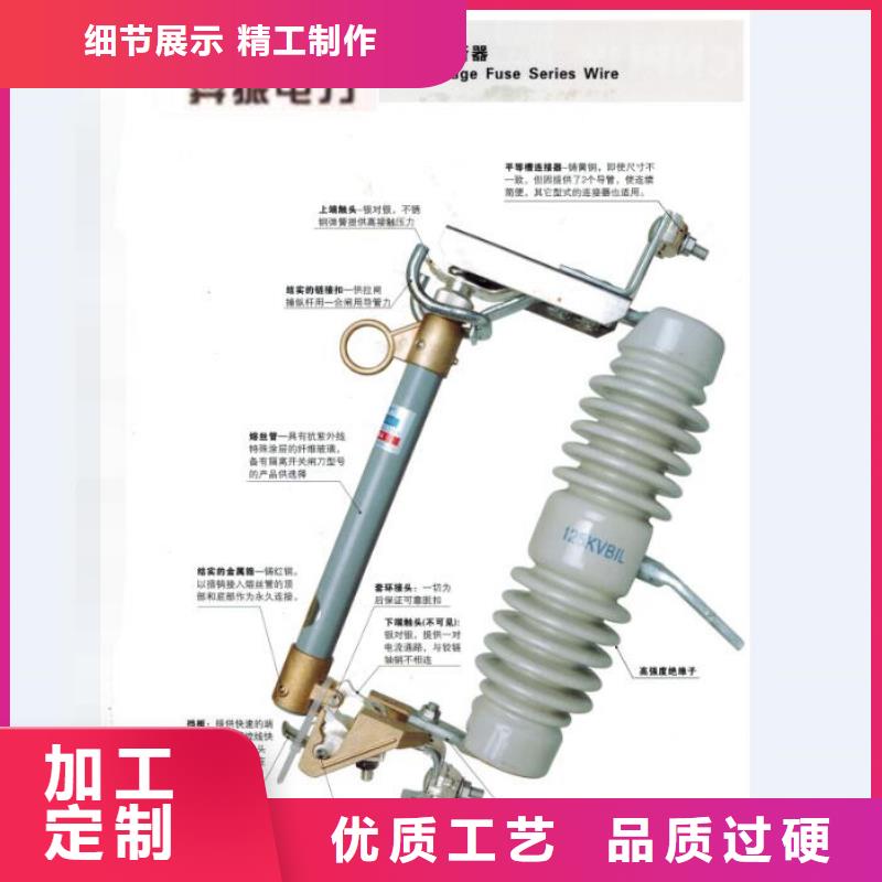 高压熔断器/RW4-12KV/100质量为本