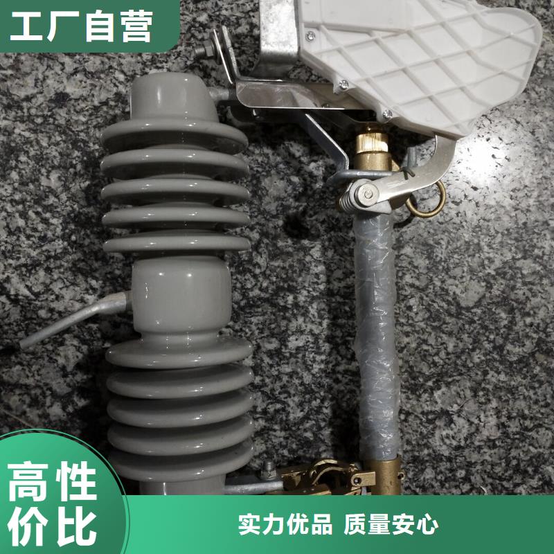 高压熔断器_RW12-10/200A本地经销商