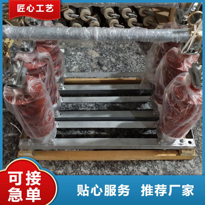 行业资讯：
高压熔断器/HRW11-10/100A同城供应商