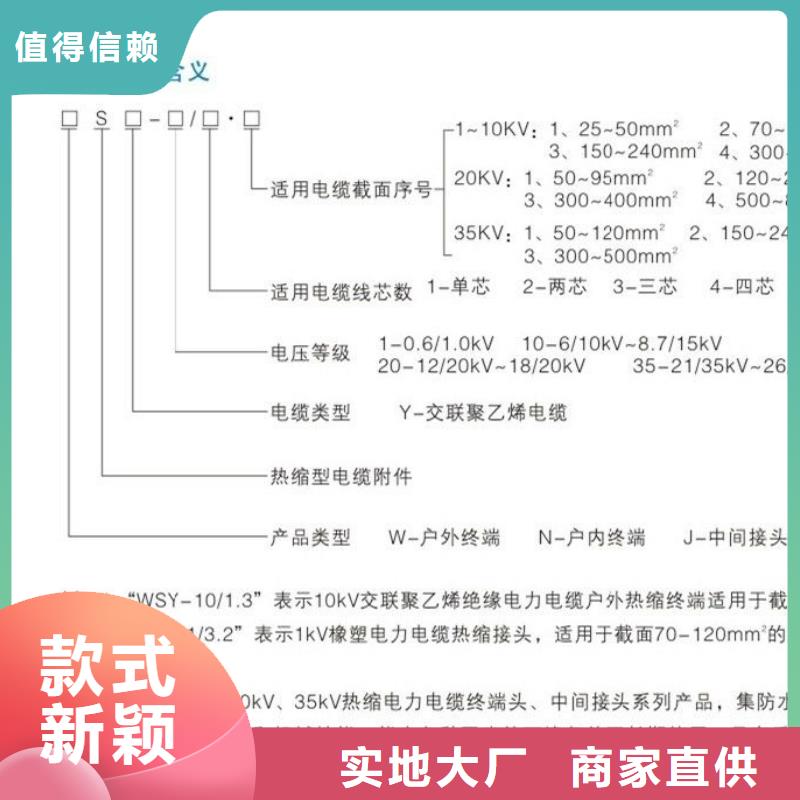 【】户外热缩电缆终端头WRSZ-15/3.4附近货源