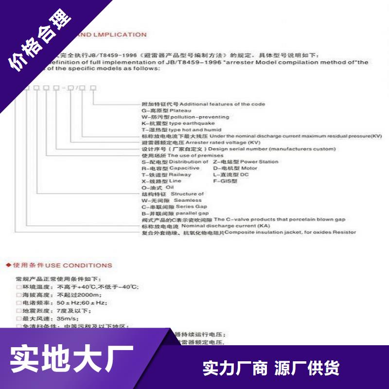 氧化锌避雷器Y10W-200/520【浙江羿振电气有限公司】诚信商家