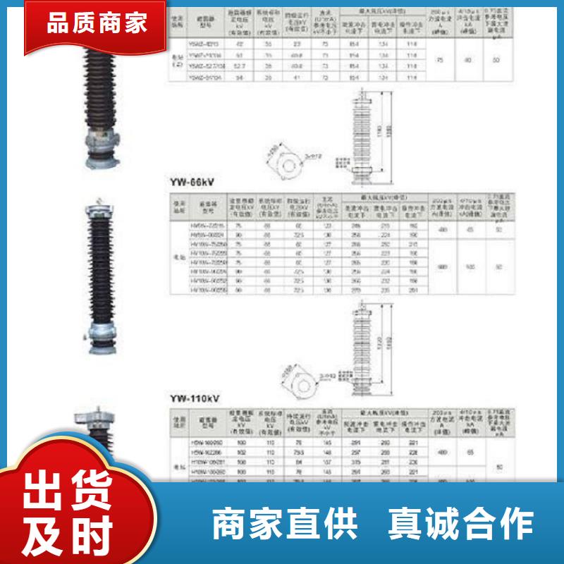 【】避雷器YH10CX-108/320K【羿振电气】订购