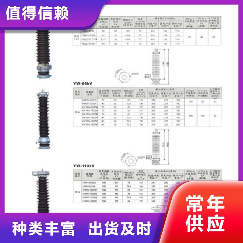 避雷器YH5WR5-84/221L【浙江羿振电气有限公司】交货准时