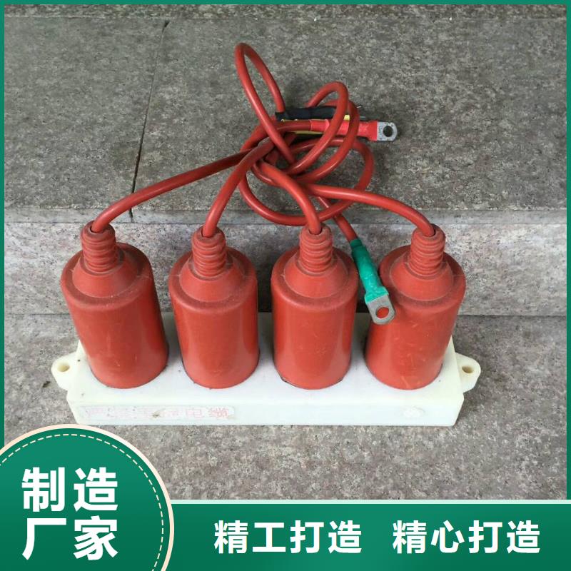 【】保护器(组合式避雷器)TBP-Y-A/35-F组合过电压保护器每个细节都严格把关