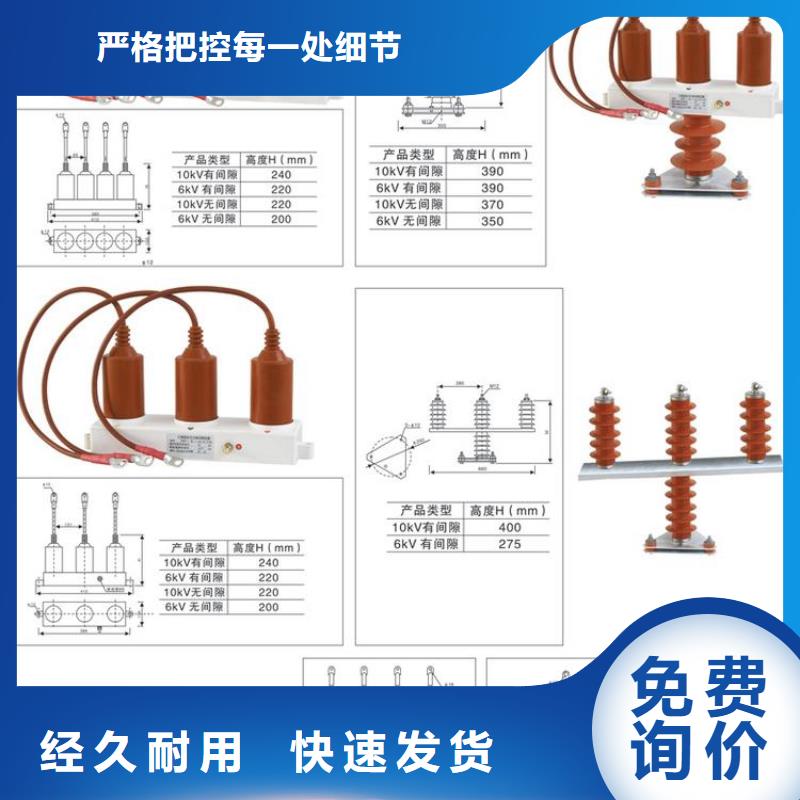 【】保护器(组合式避雷器)TBP-C-42F/630W让客户买的放心