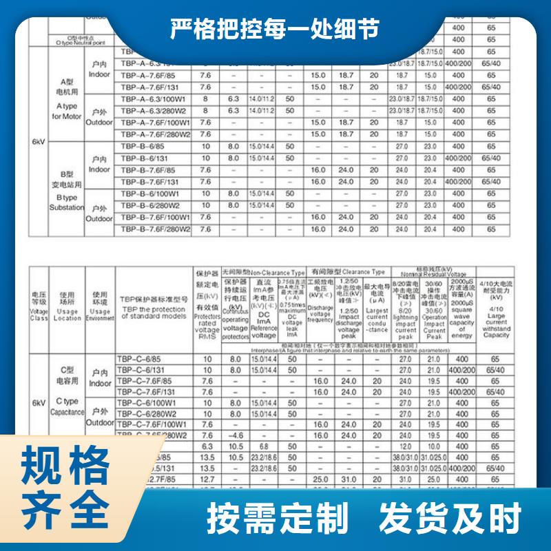 【】〖过电压保护器〗TBP-B-42F/310本地厂家实力厂商