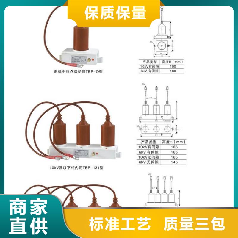 【过电压保护器】TBP-C-12.7/131-J发货及时