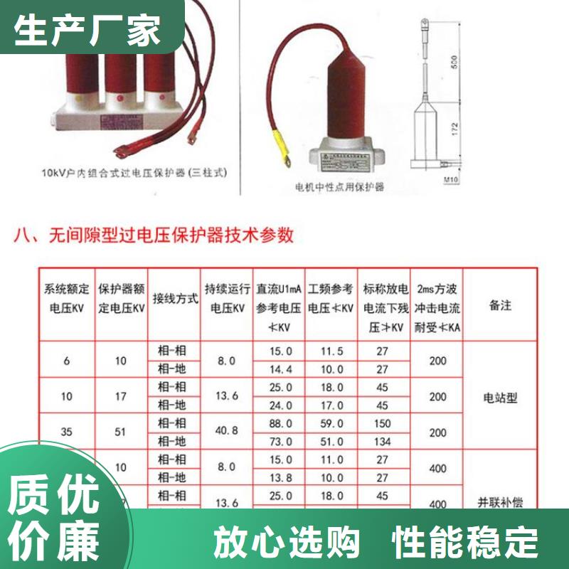 【】保护器(组合式避雷器)TBP-C-42F/310快捷的物流配送