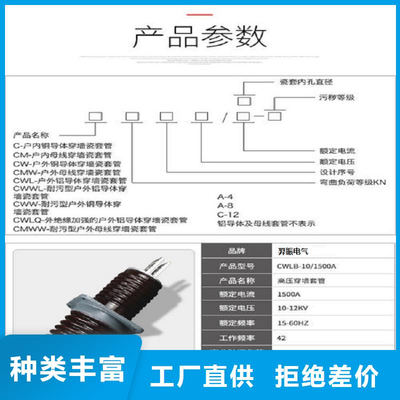 交流穿墙套管,AC10KV,陶瓷,2000A,无CT,铝.实力厂家