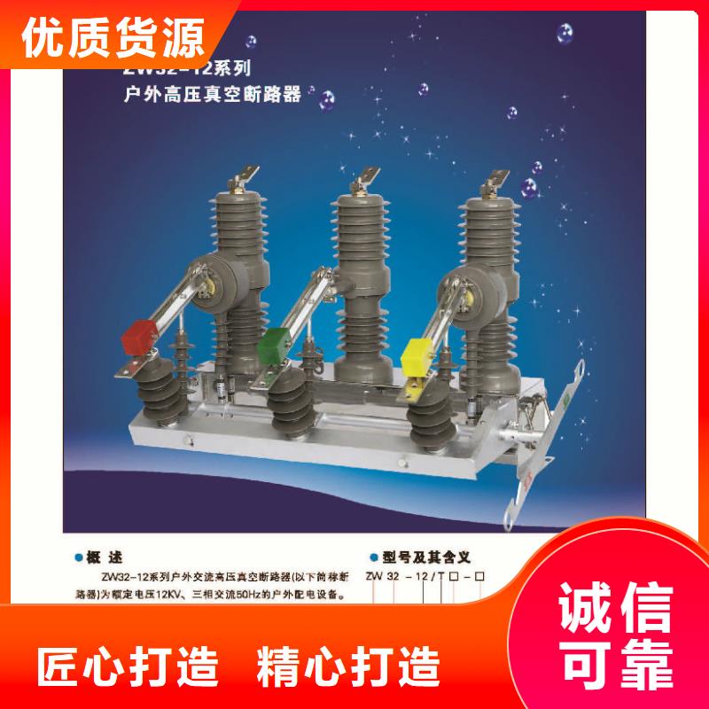 品牌：【羿振电气】/AC10kV.630A.25kA.真空.无隔离闸刀.户外(电动.弹簧)，共箱式/报价附近公司