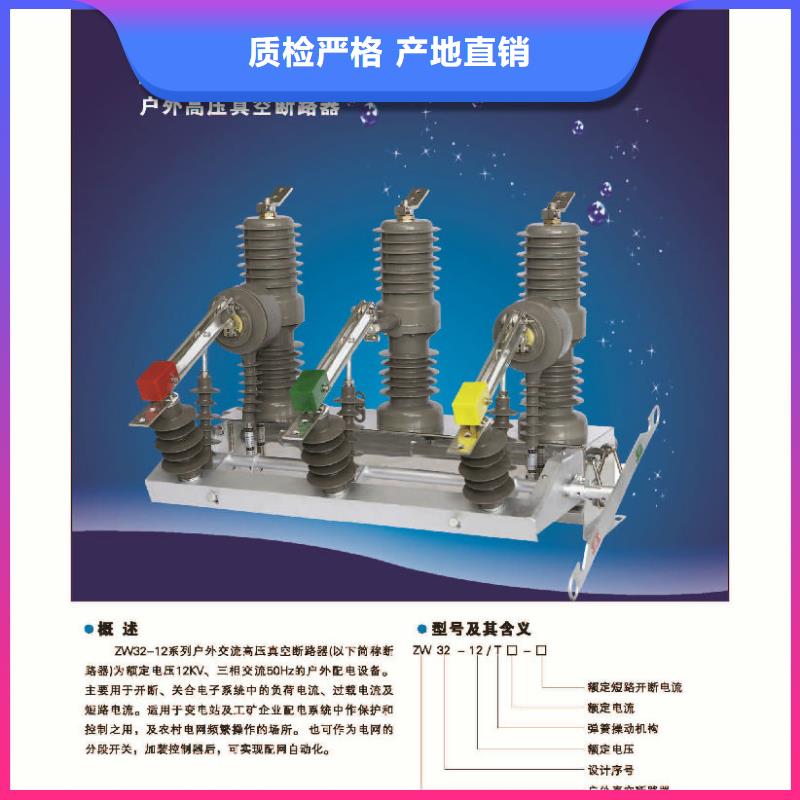 品牌：【羿振电气】/AC10kV.630A.20kA.真空.有隔离闸刀.户外(电动.弹簧)，支柱式/参数细节严格凸显品质