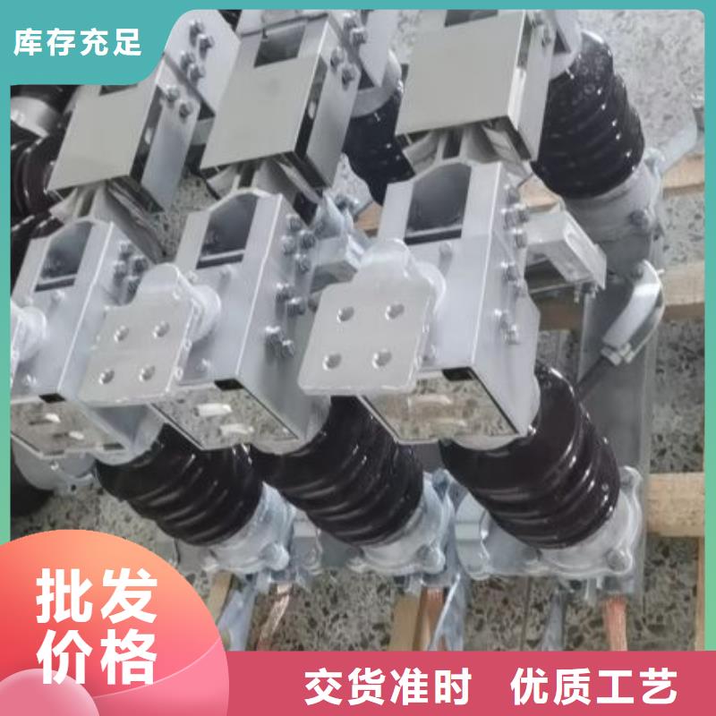 户外高压隔离开关HGW1-10KV/400A同城供应商