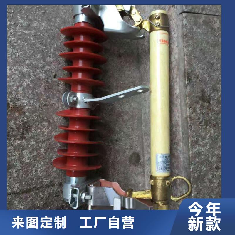 高压熔断器/RW4-12KV/100当地货源