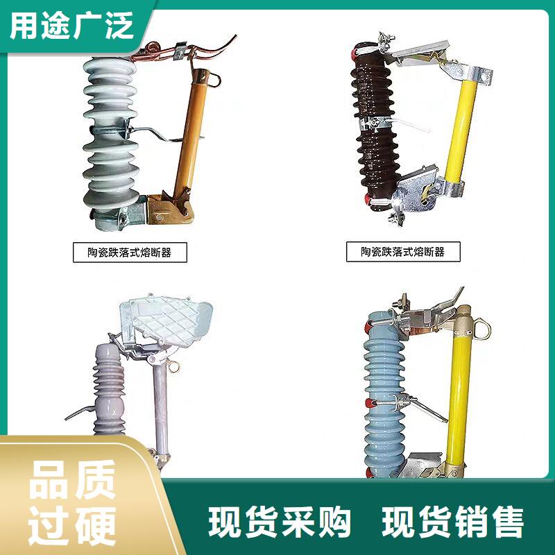 高压熔断器/PRW10-12/100A专业信赖厂家