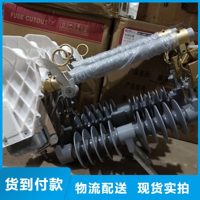 高压熔断器/RW12-10KV/100A本地公司