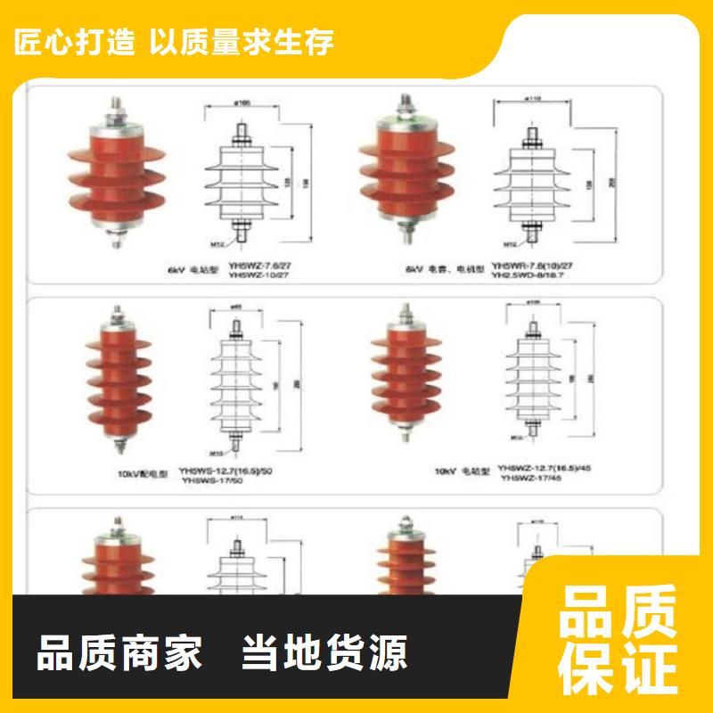 品牌：【羿振电力】可卸式避雷器HY5WS-17/50DL-TB价格低