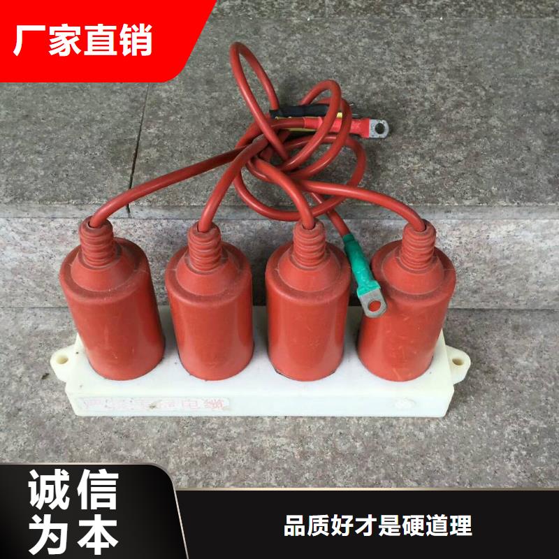 【】过电压保护器(组合式避雷器)TBP-C-42F/310物流配货上门