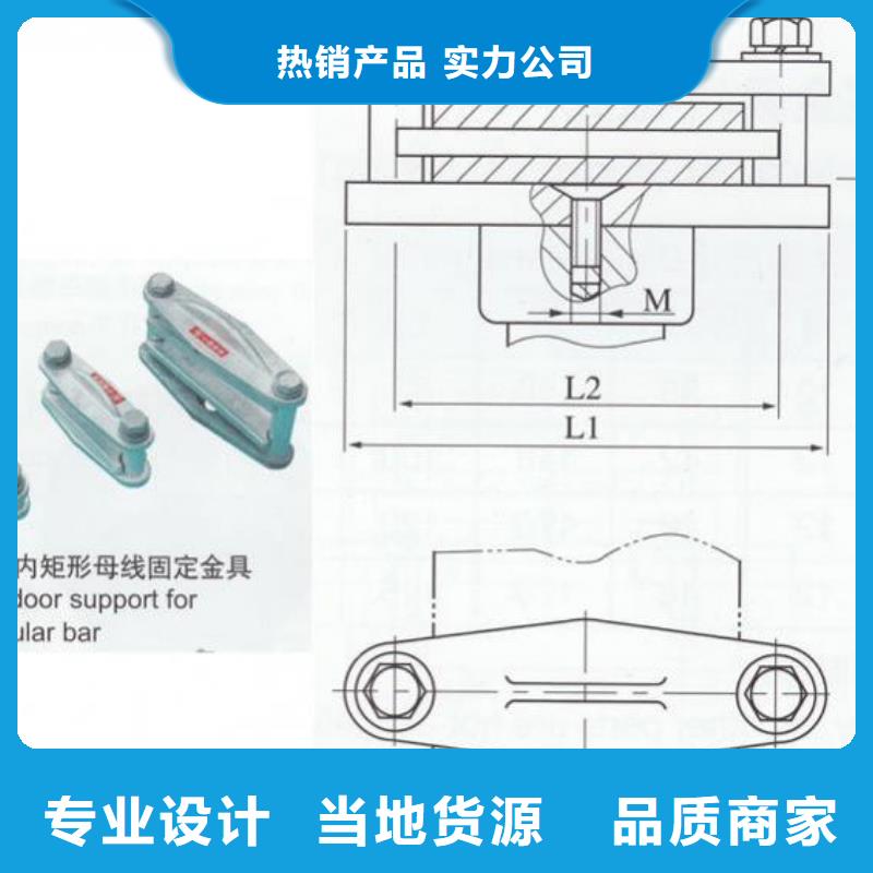 ZS-220/850支柱绝缘子【上海羿振电力设备有限公司】卓越品质正品保障