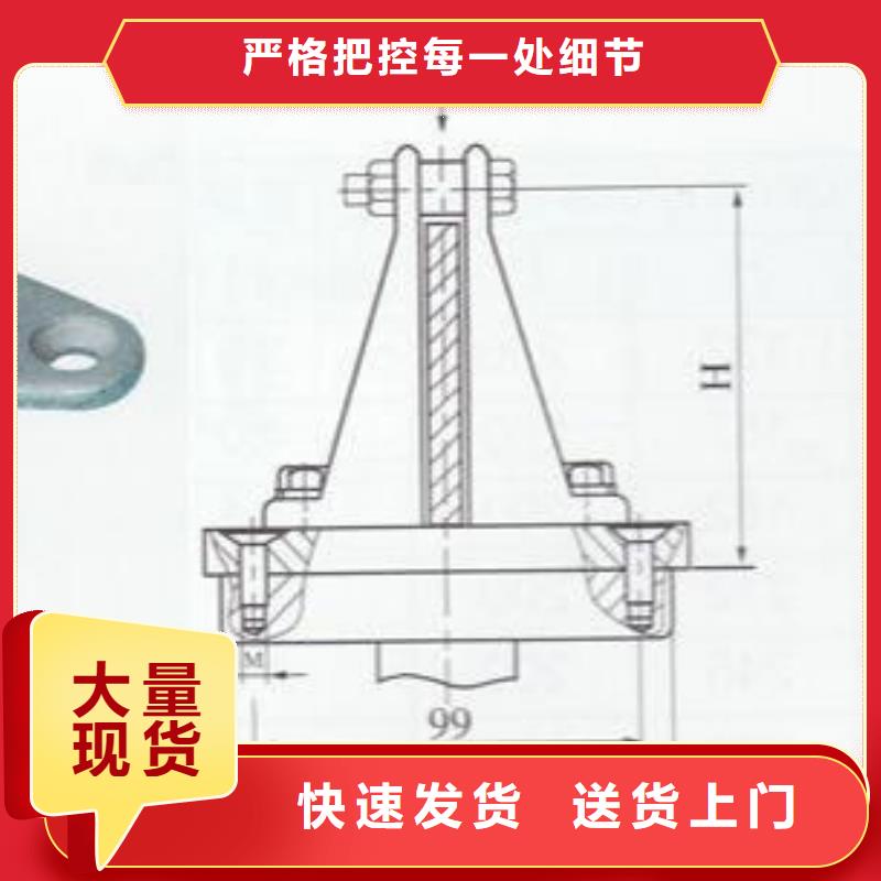 ZSW1-35/800支柱绝缘子【上海羿振电力设备有限公司】好品质售后无忧