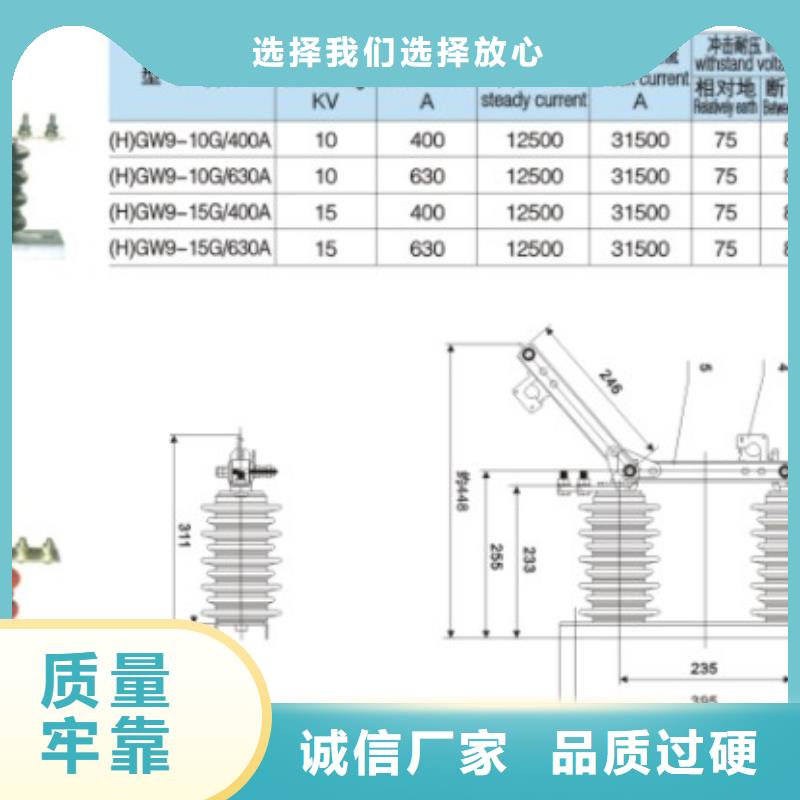 【户外高压交流隔离开关】HGW9-12KV/630源头好货.同城公司