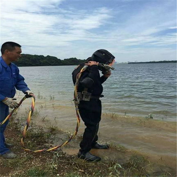 营口市水下焊接服务-水下施工队附近生产厂家