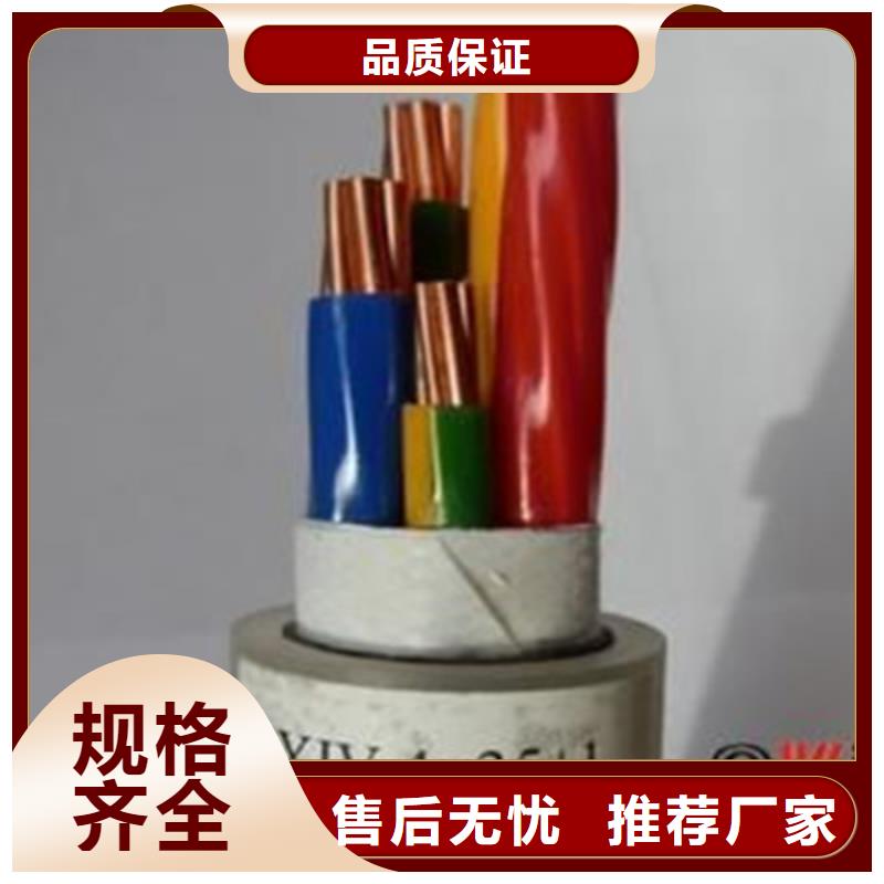 生产RVVP1X0.75可按样品生产的实力厂家品牌大厂家