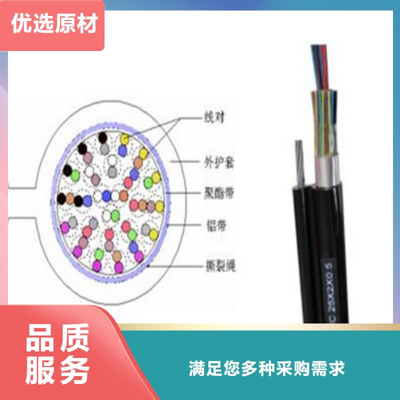 FF总线电缆量大从优工程施工案例